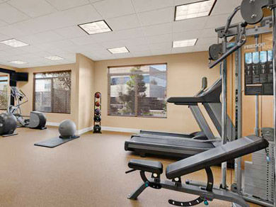 Hilton Garden San Francisco Airport North Hotel 3*