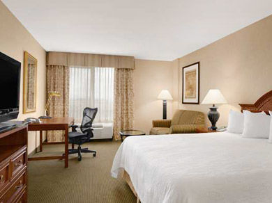 Hotel Hilton Garden San Francisco Airport North South San Francisco